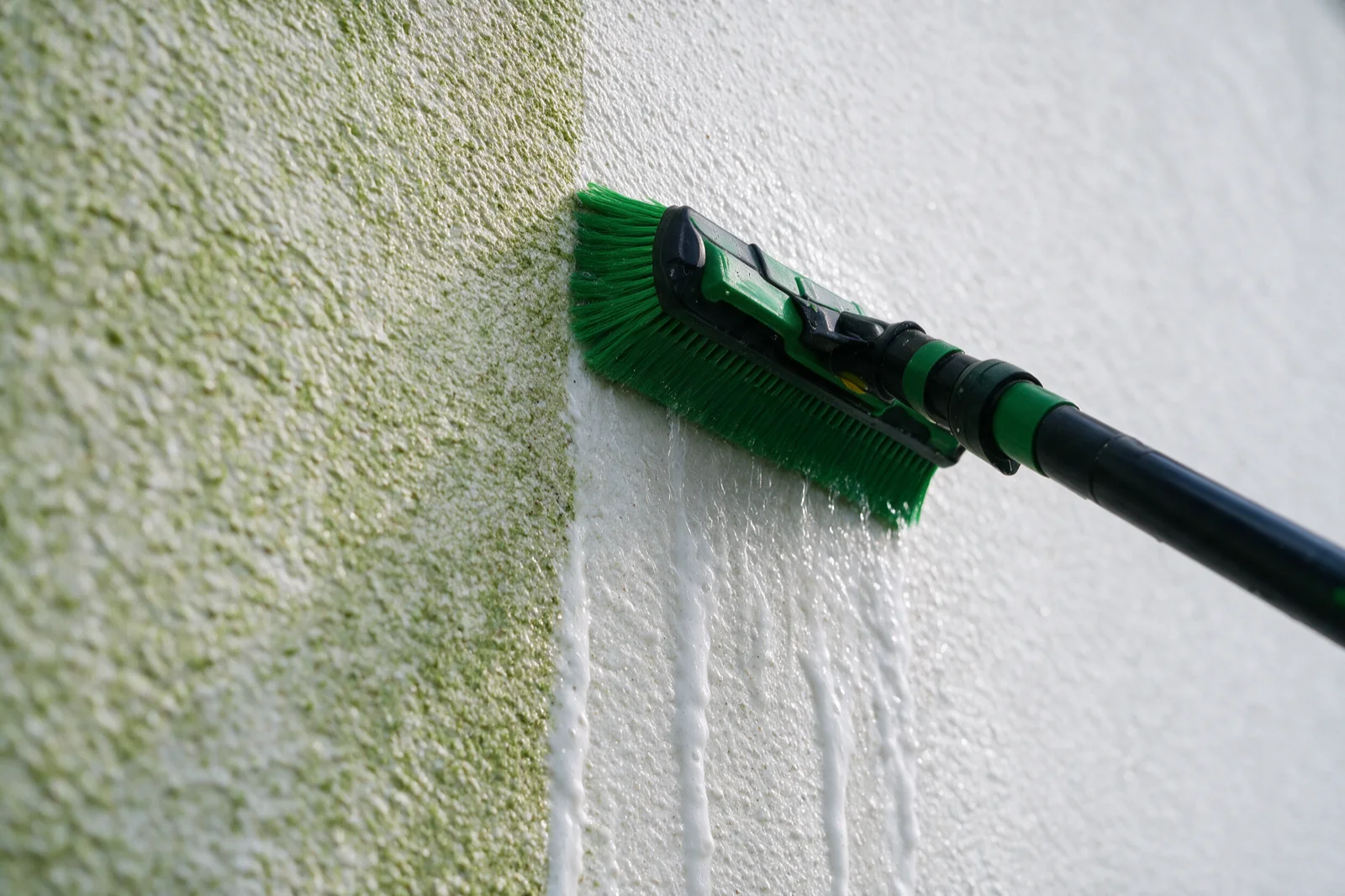 Groene aanslag op de korrel van een crepigevel, half weggewerkt met de zachte borstel