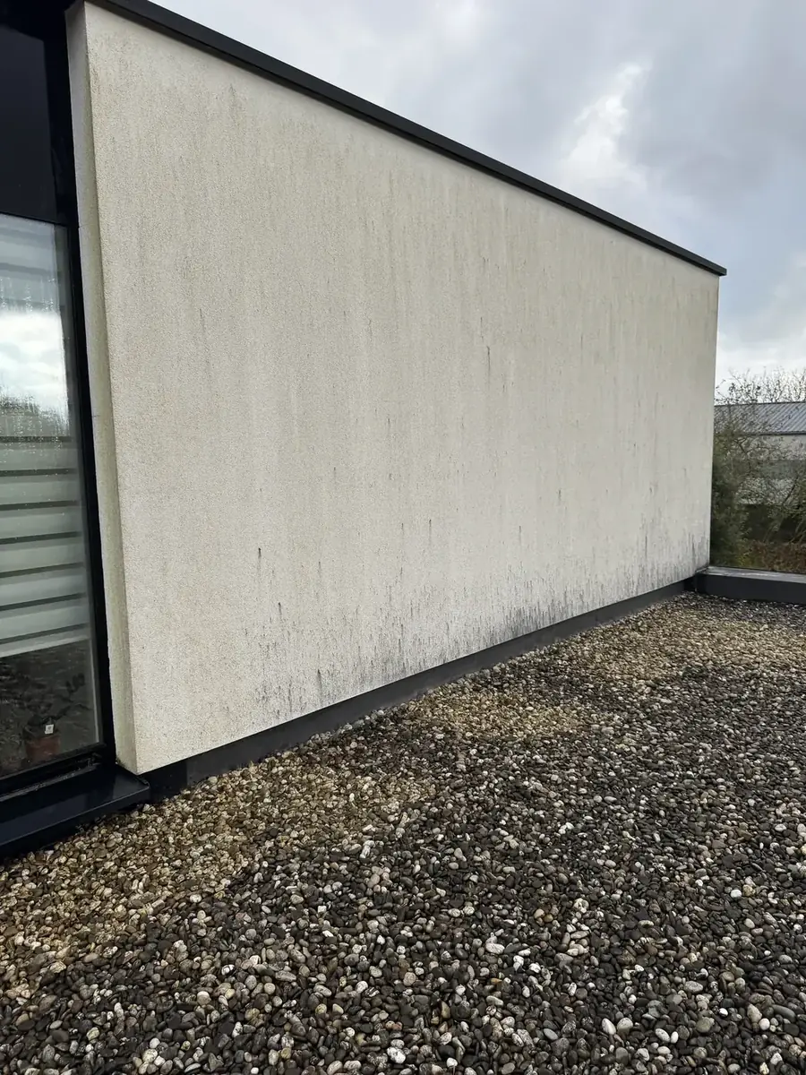 Crepi gevel met groene aanslag voor behandeling